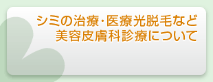 シミの治療・医療光脱毛など美容皮膚科診療について